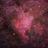 NGC7000, North American Nebula